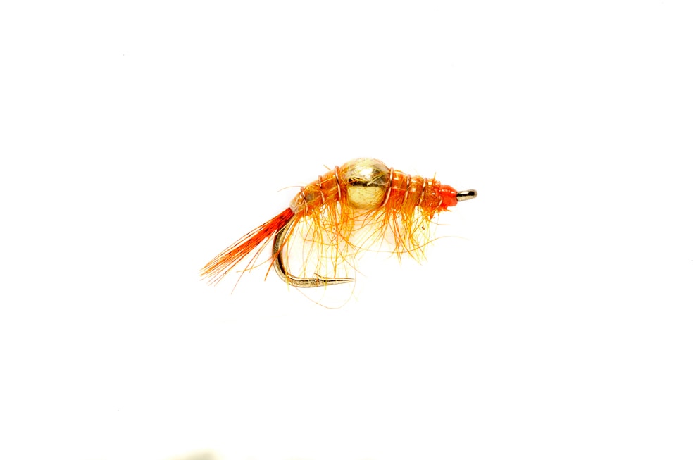 Bead Body Scud Orange