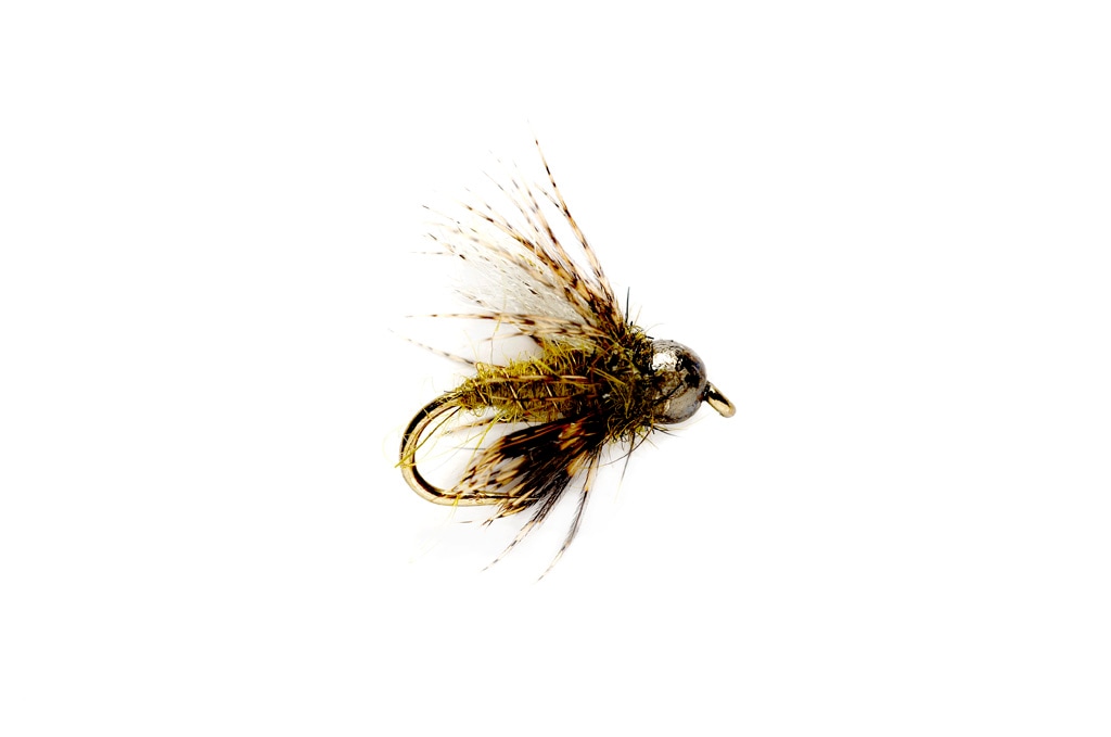 Soft Hackle Caddis Pupa (TBH)