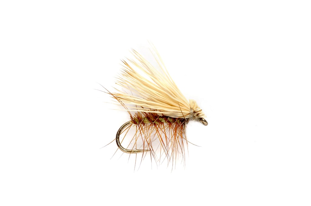 Elkwing Caddis Olive