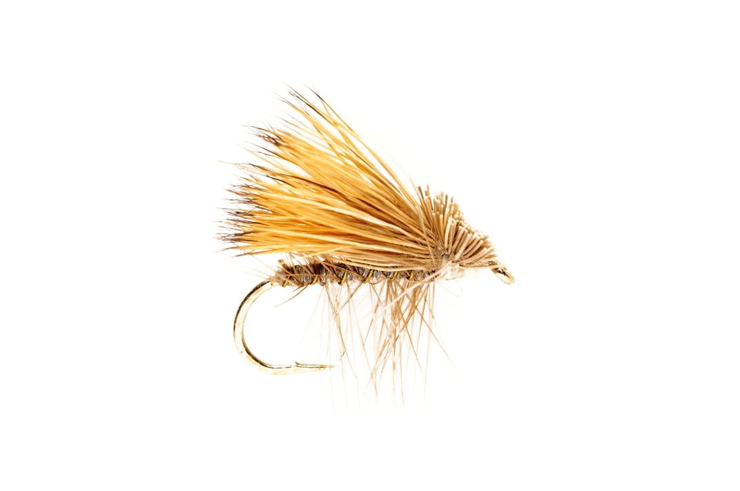 Elkwing Caddis Gray
