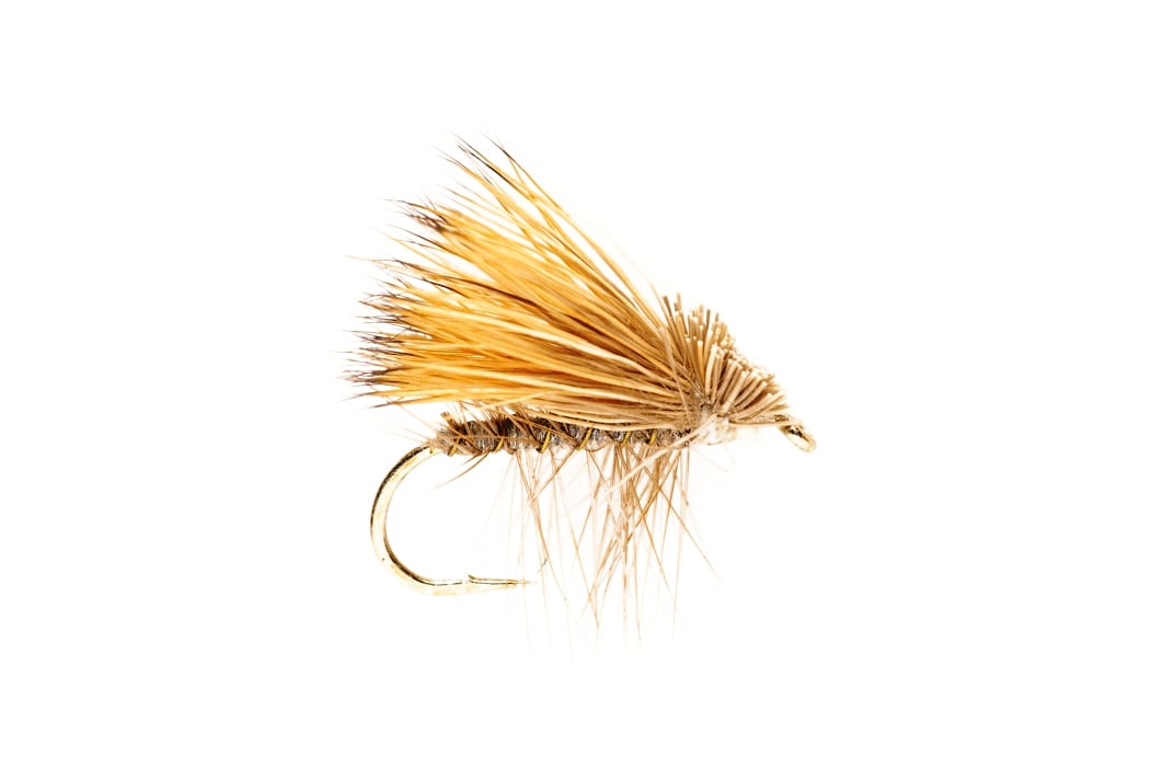 Elkwing Caddis Gray