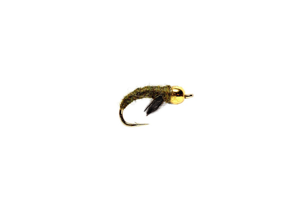 Caddis Pupa Olive (BH)