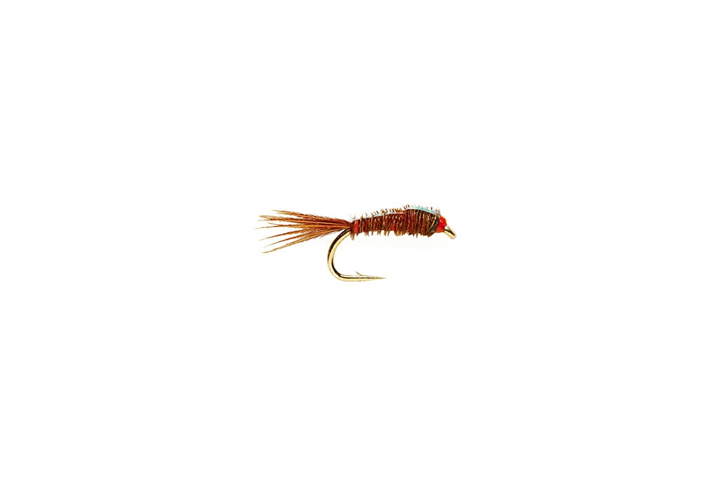 Flashback Pheasant Tail - Size 18 