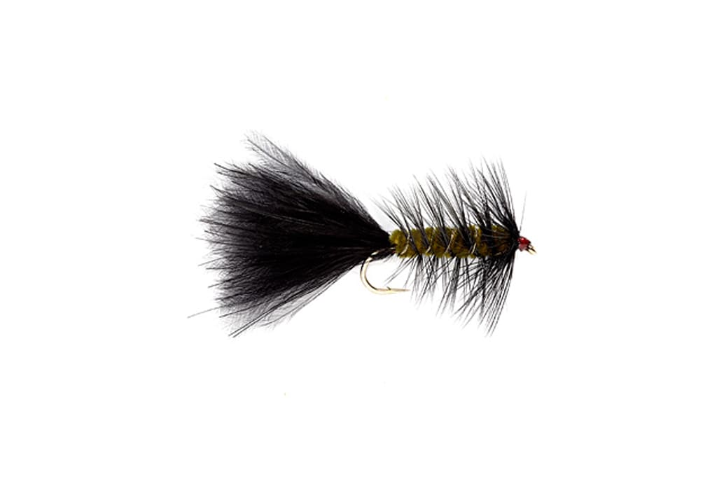 Woolly Bugger Olive & Black