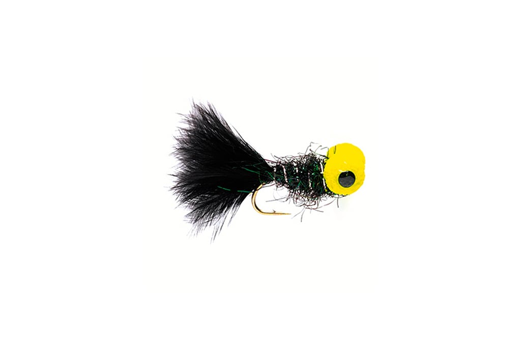 Big Eyed Panfish Bug Black