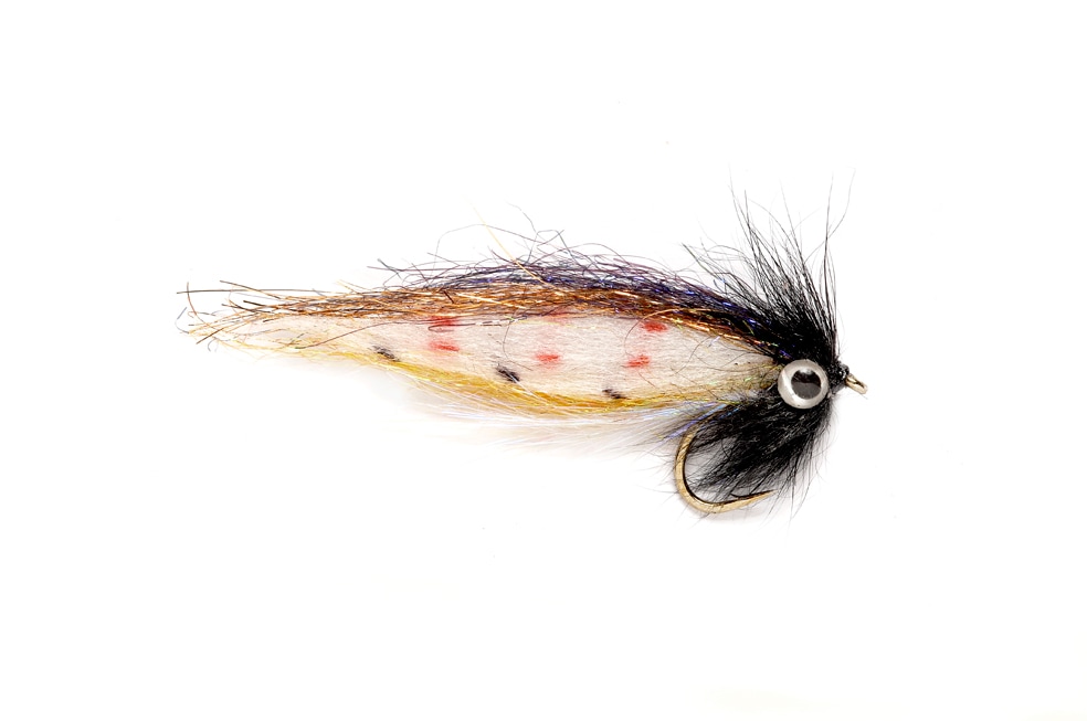 Senyo's Trout Parr Brown