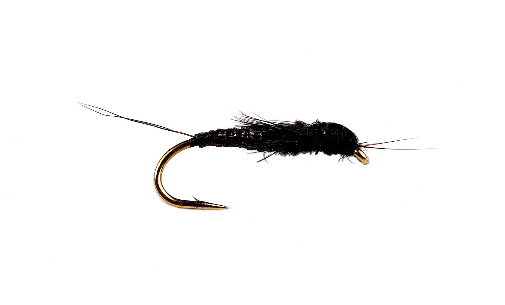 Edward's Stonefly Black