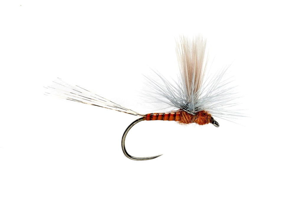 Lexi's Get er Dun May Red Quill Barbless S12