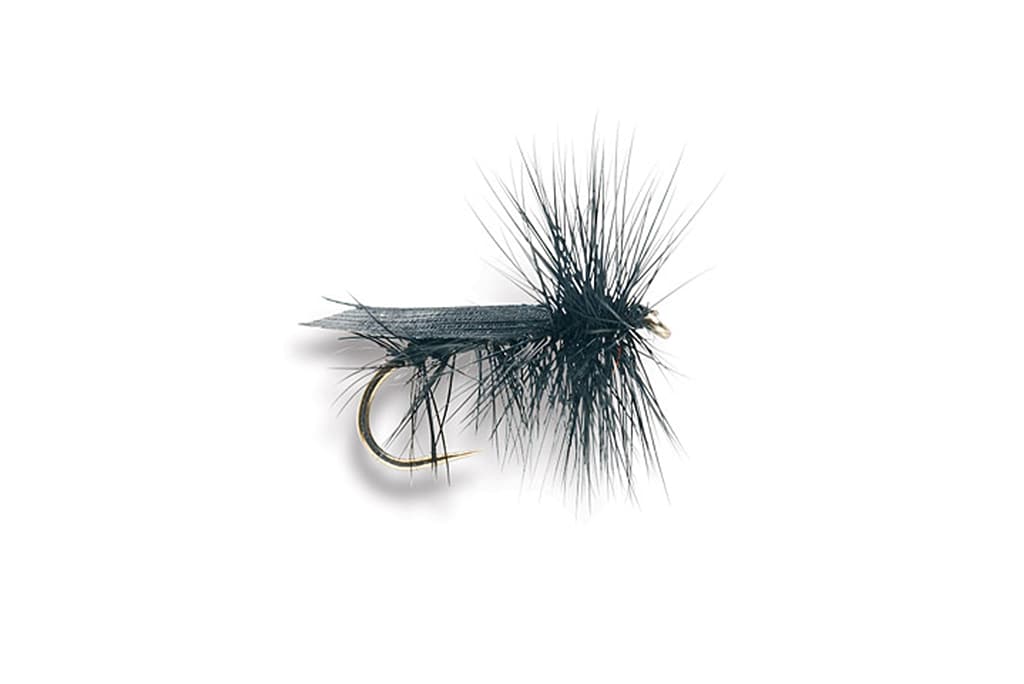 Black Caddis