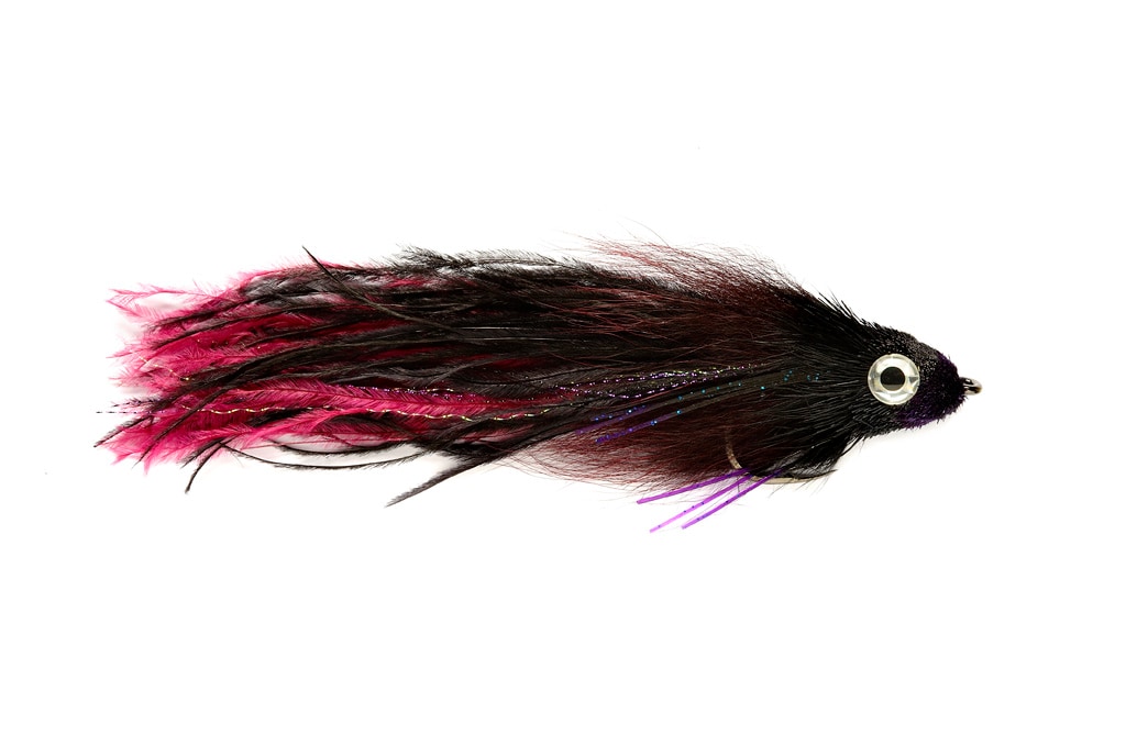 Montauk Monster Black & Purple