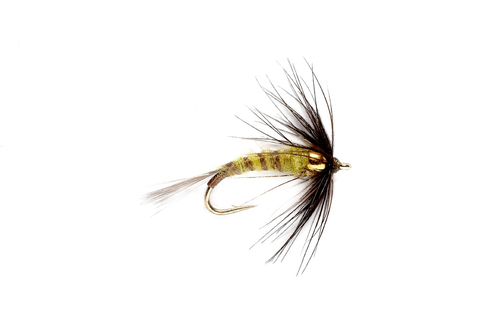 Flymph BWO (BH)