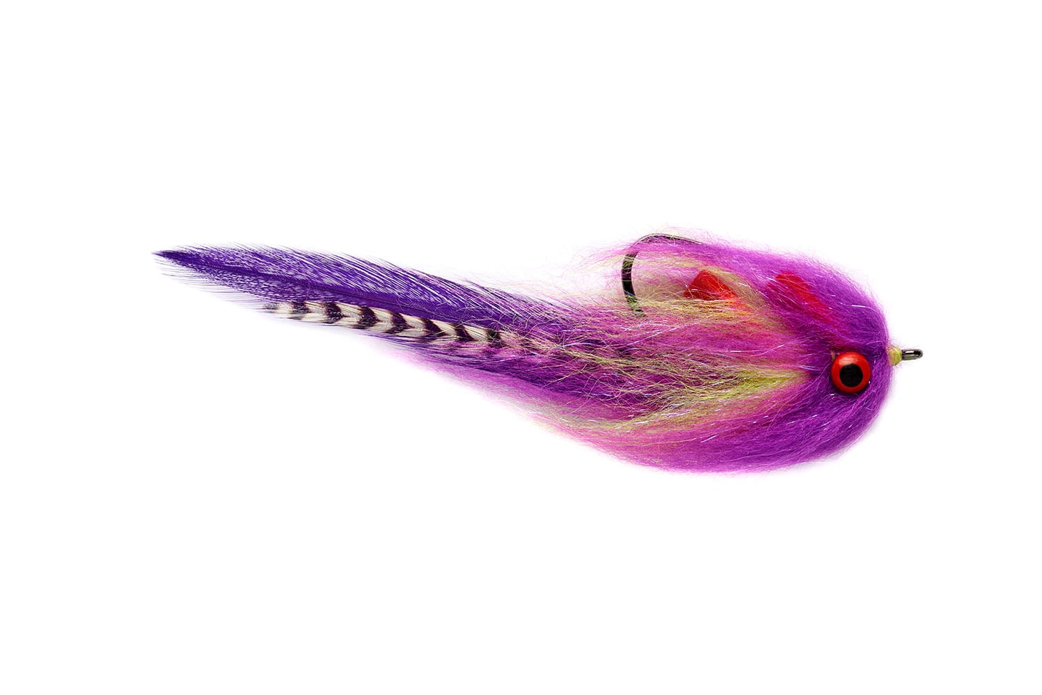 Sandbar Mullet Purple & Chartreuse