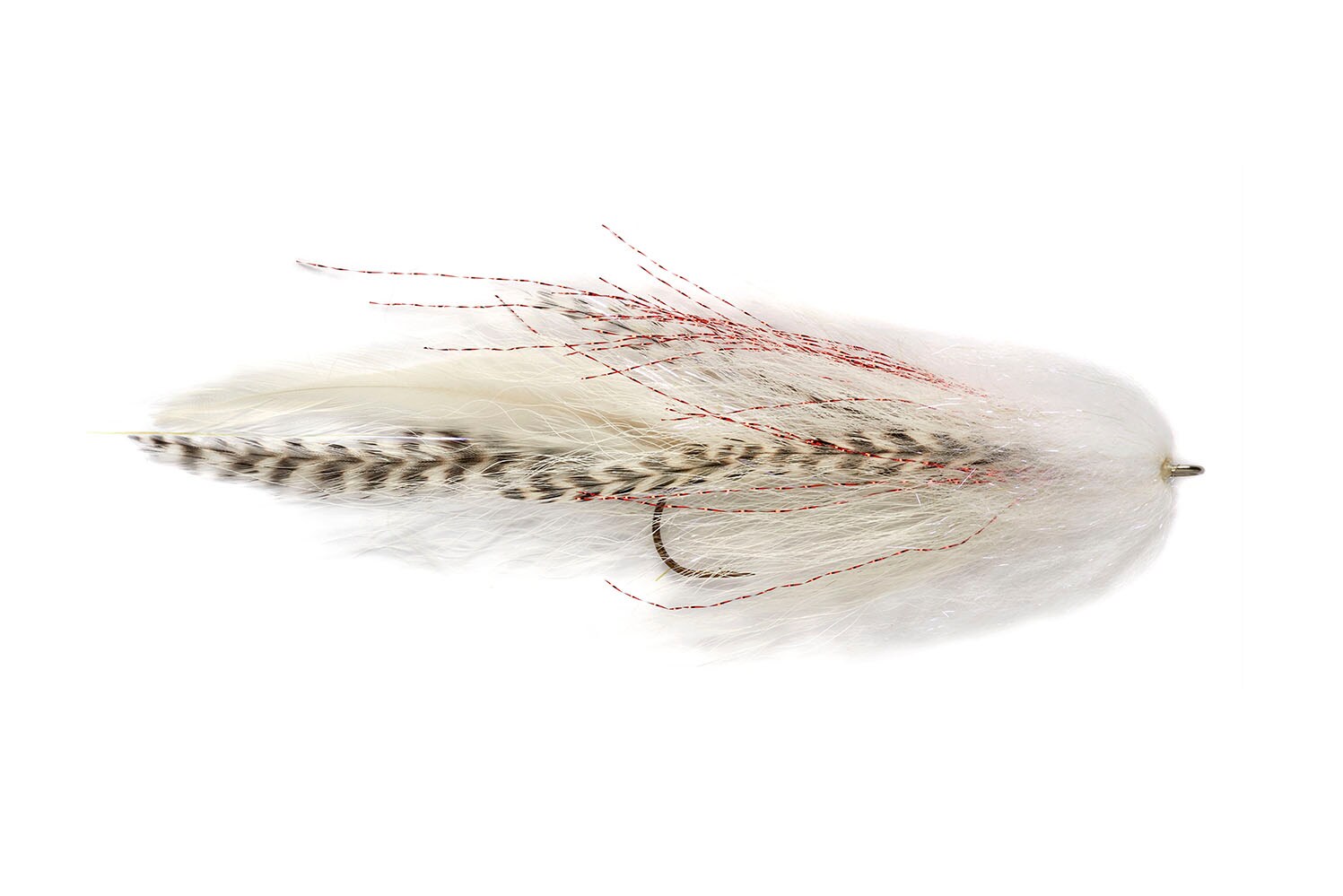 The Roamer White