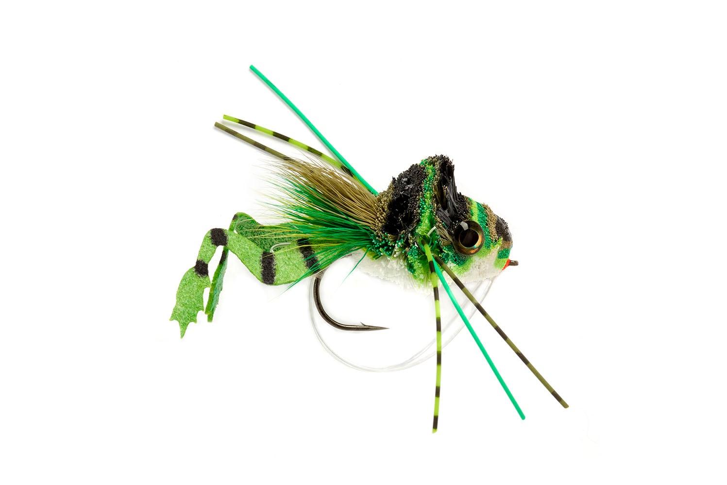 Frog Legged Diver