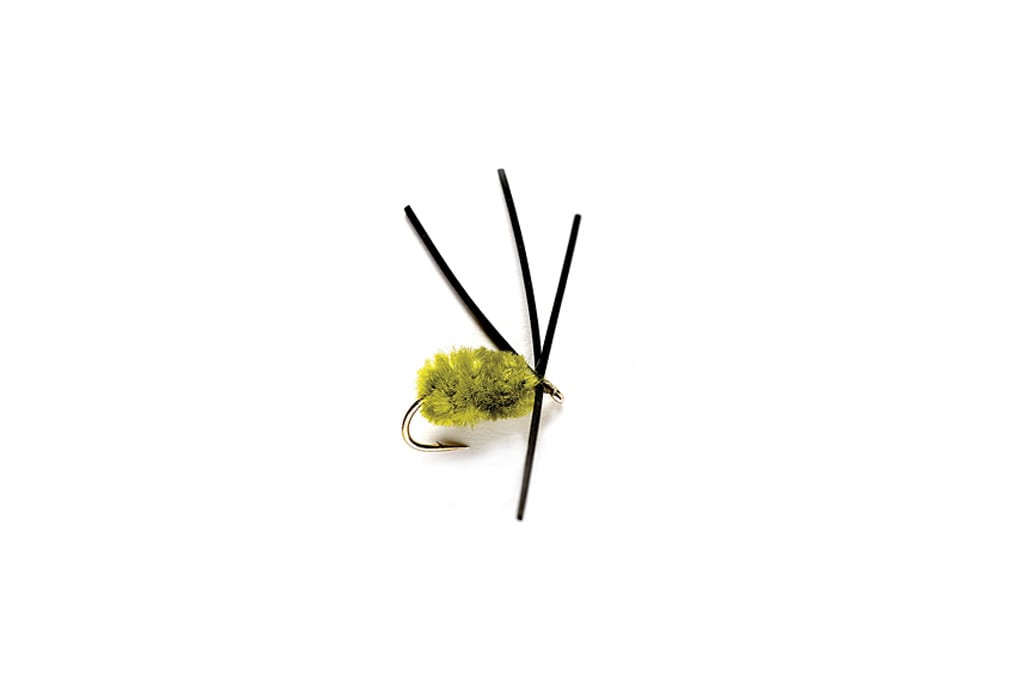 Bully Bluegill Spider Olive