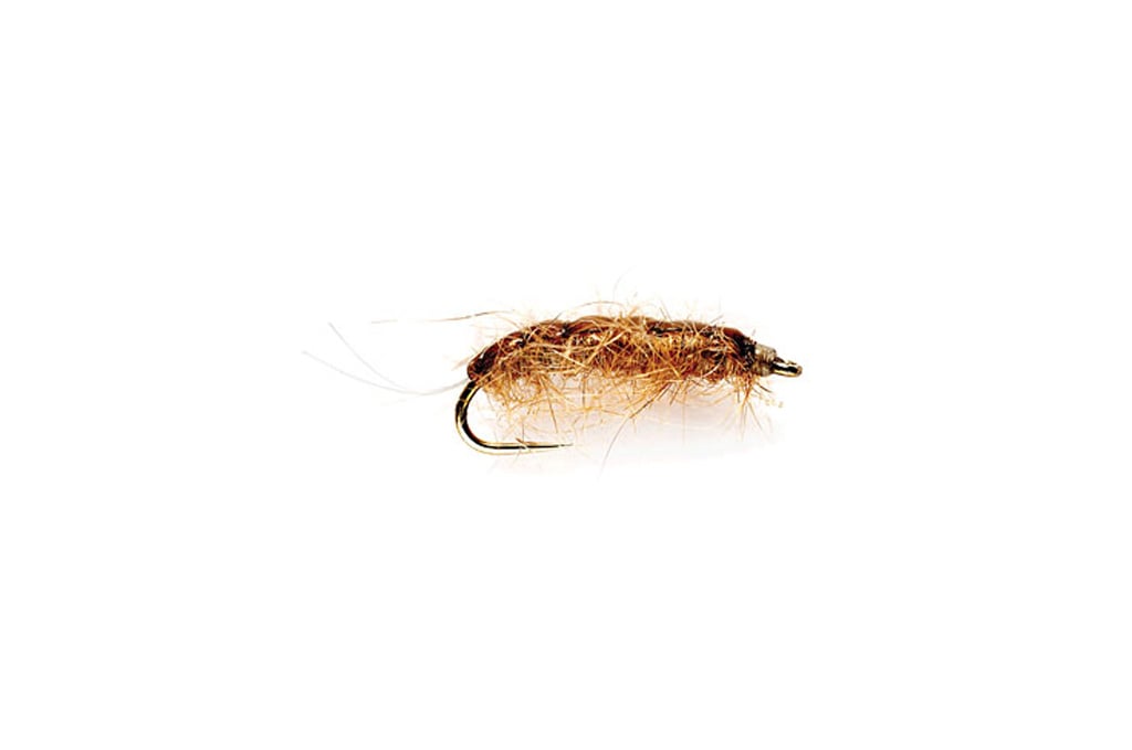 Rouse's J-Dub Sow Bug Tan