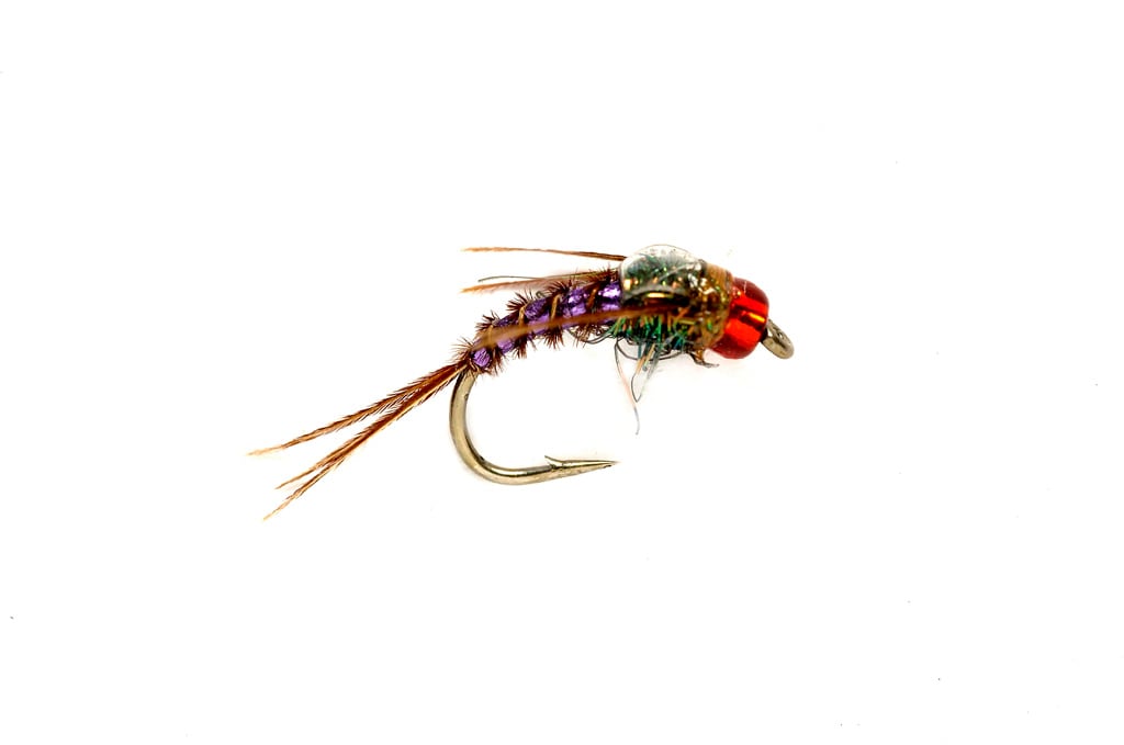 Phlamin Pheasant Tail Purple