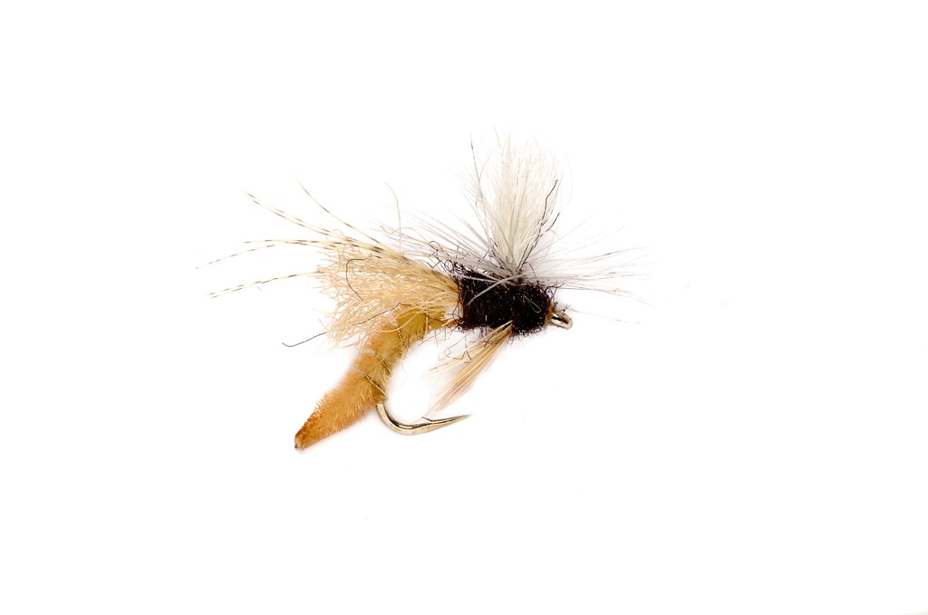 Spotlight Caddis Emerger Tan