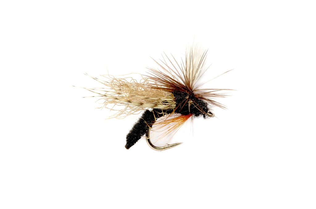 Spotlight Caddis Emerger Black