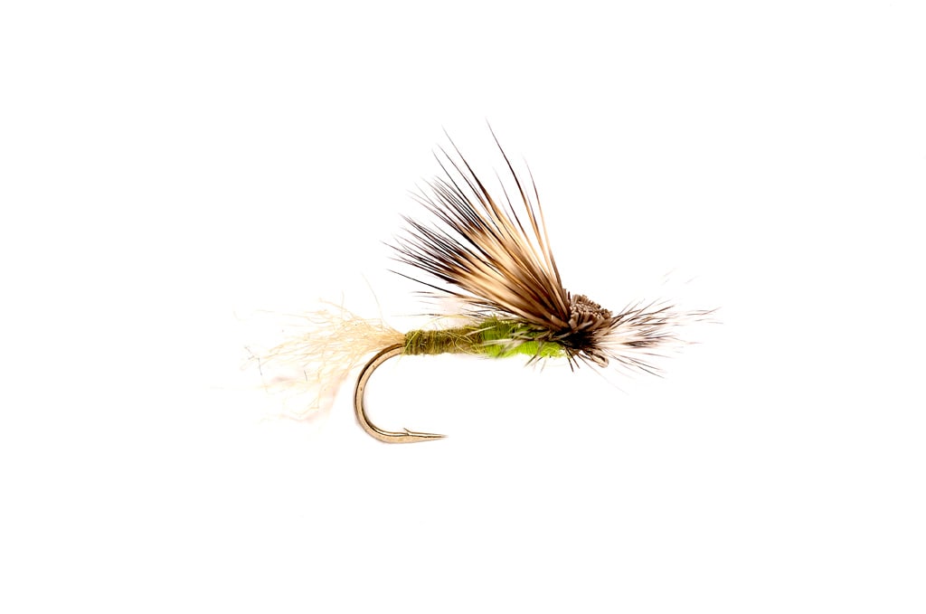 EC Caddis Olive