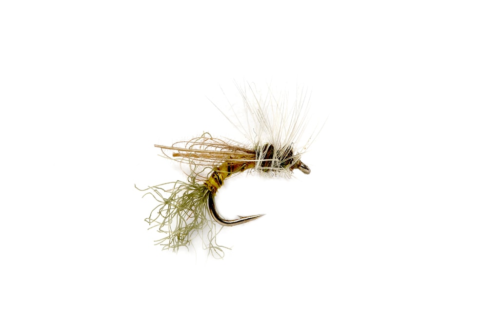 Smith's Crippled BWO