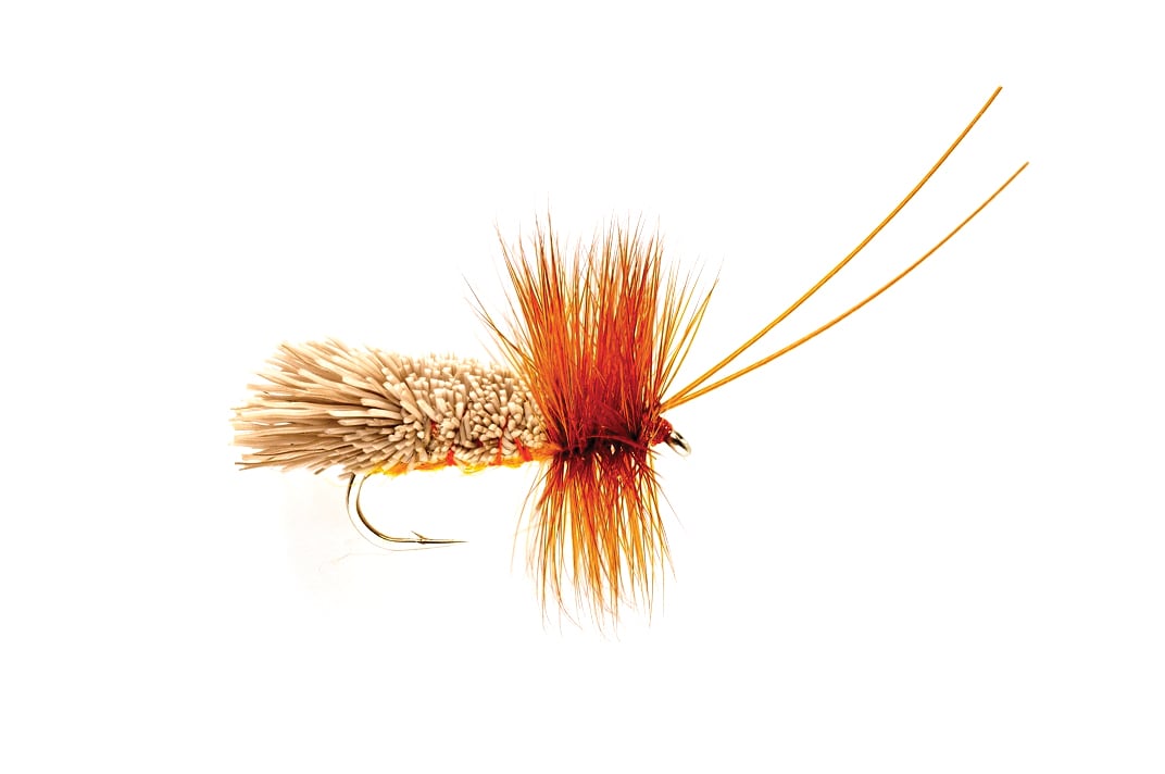 Green G&H Sedge