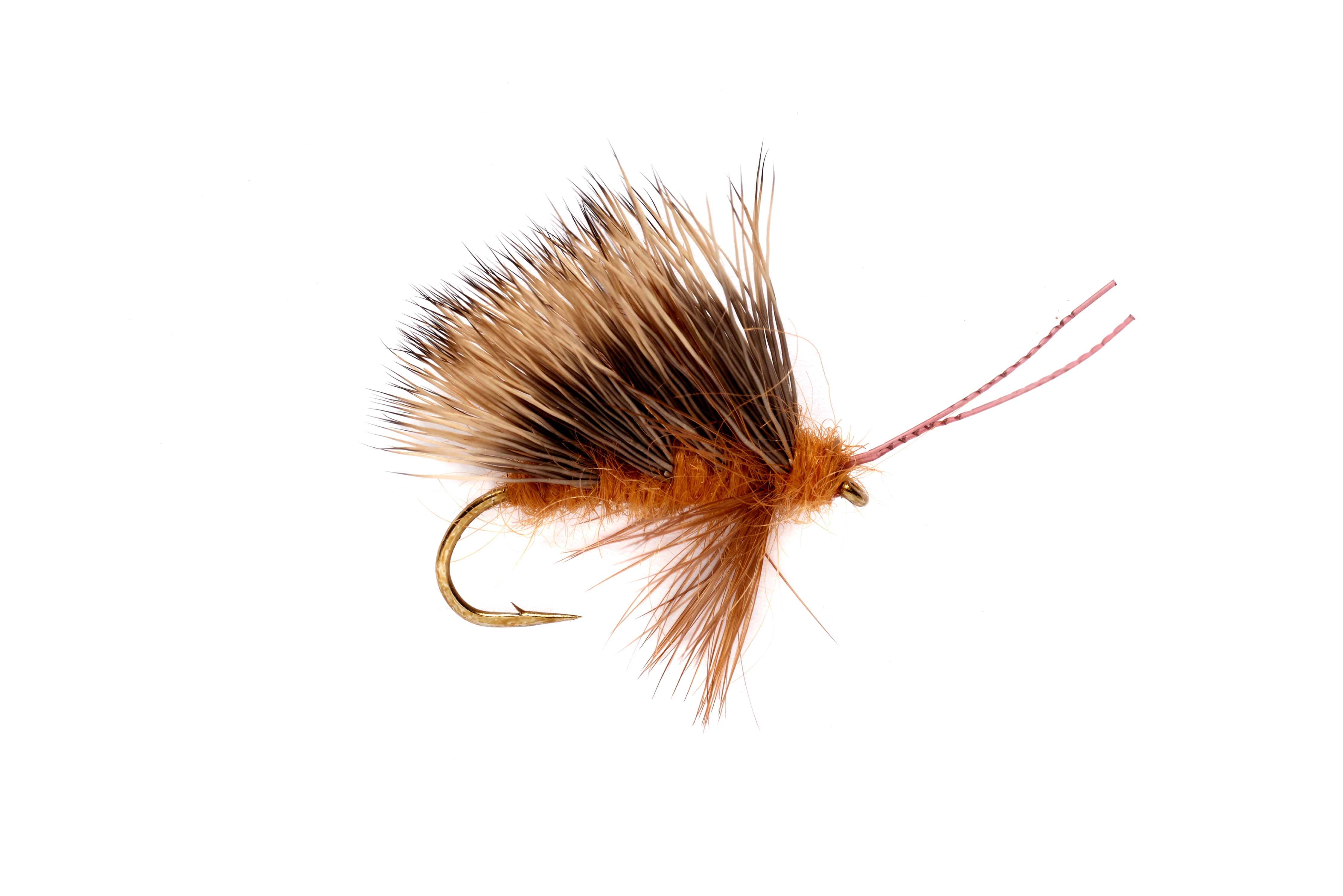 Burkus' Sedgeback October Caddis