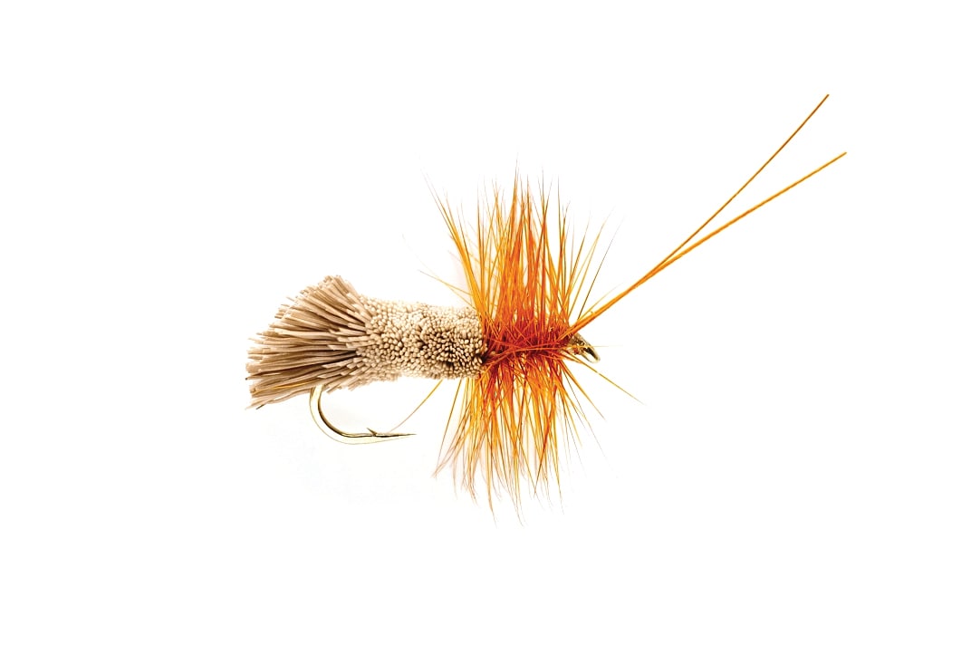 Goddard Caddis