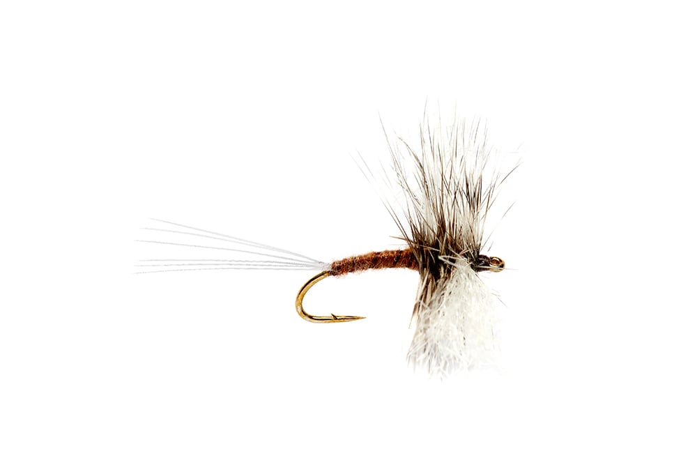 Gray Drake Hackle Spinner