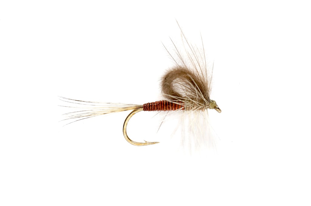 CdC Loopwing Quill Emerger Hendrickson