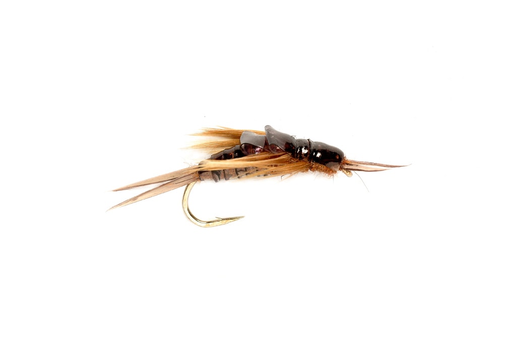 OE Stonefly Nymph Black S6 Fishing Fly, Nymphs