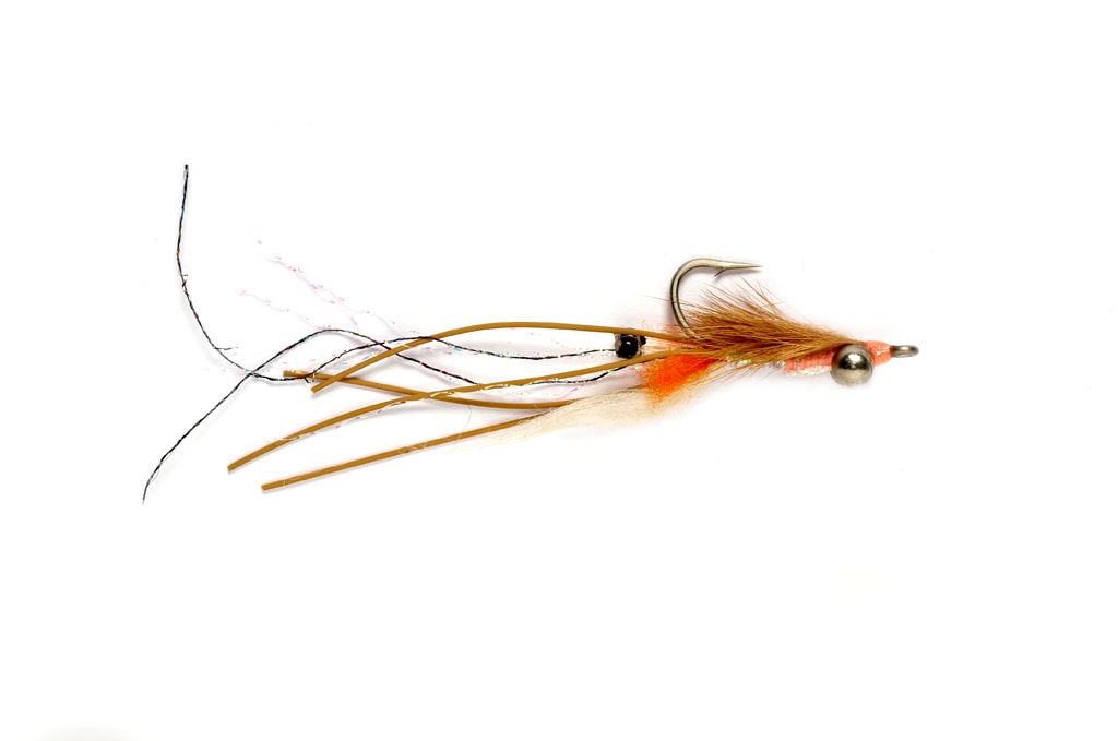 Peterson's Spawning Shrimp