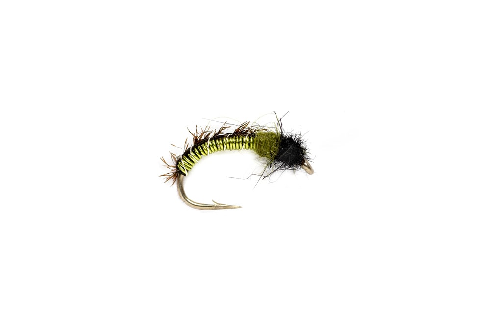 Shaggy Wire Caddis