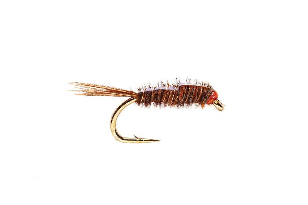 Flashback Pheasant Tail - Size 18 