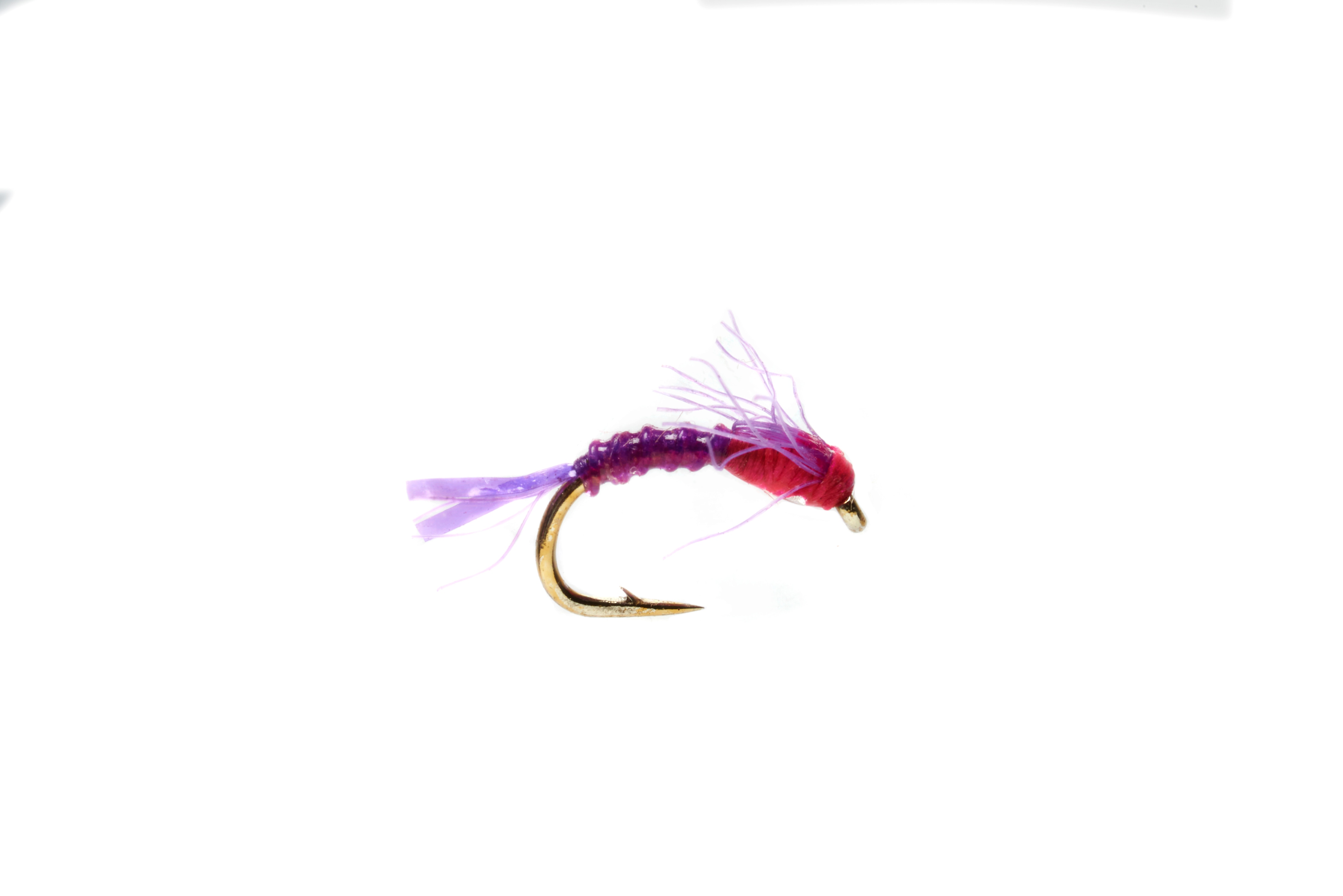 Boroff's Hot Belly Baetis Purple