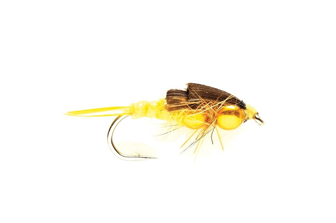 Stonefly Yellow (BH)