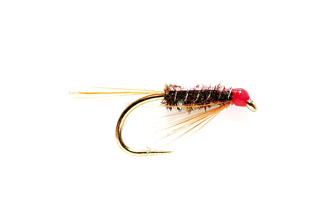 Traffic Light Diawl Bach