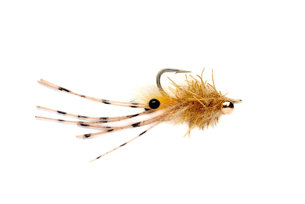 Beech's Critter Bug Tan