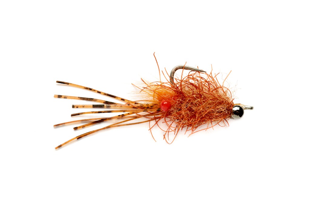 Beech's Critter Bug Brown