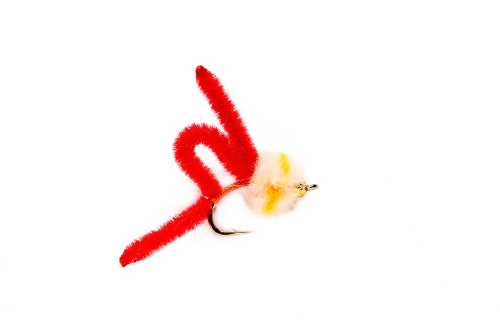 Winter Flies