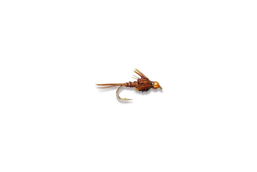 American Pheasant Tail (BH)