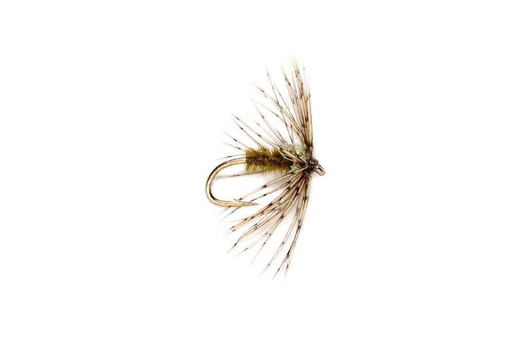 Sparkle Soft Hackle Light Olive