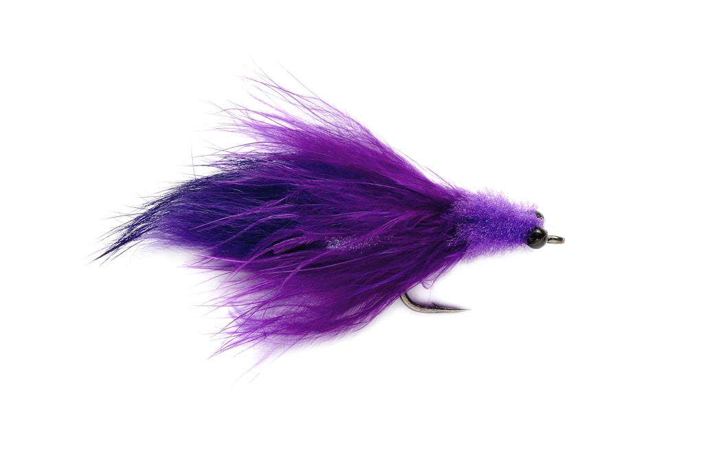 Tarpon Toad Purple