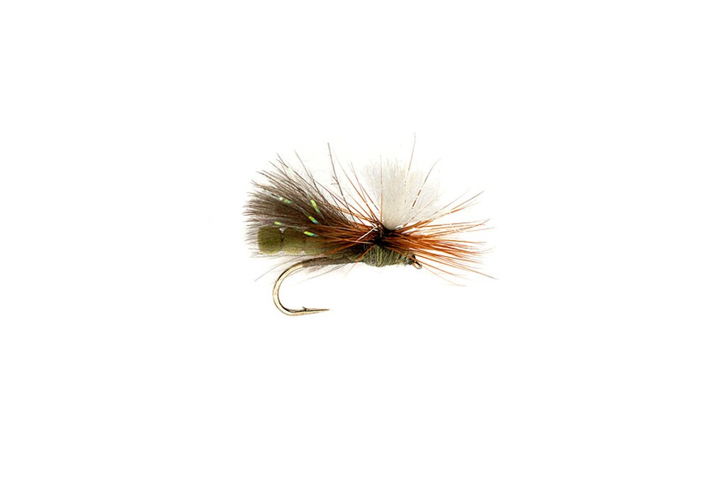 NBK Caddis Dry Olive