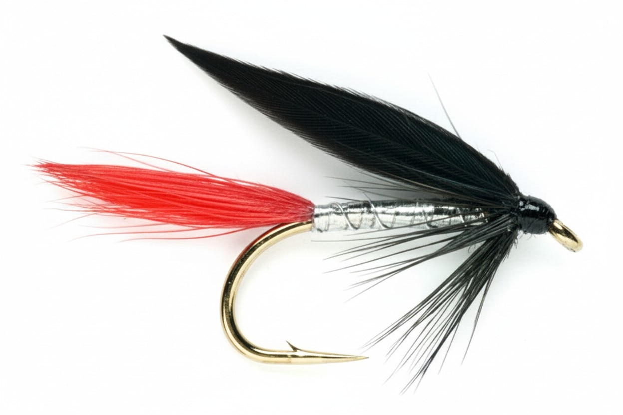 Black & Red Butcher fly