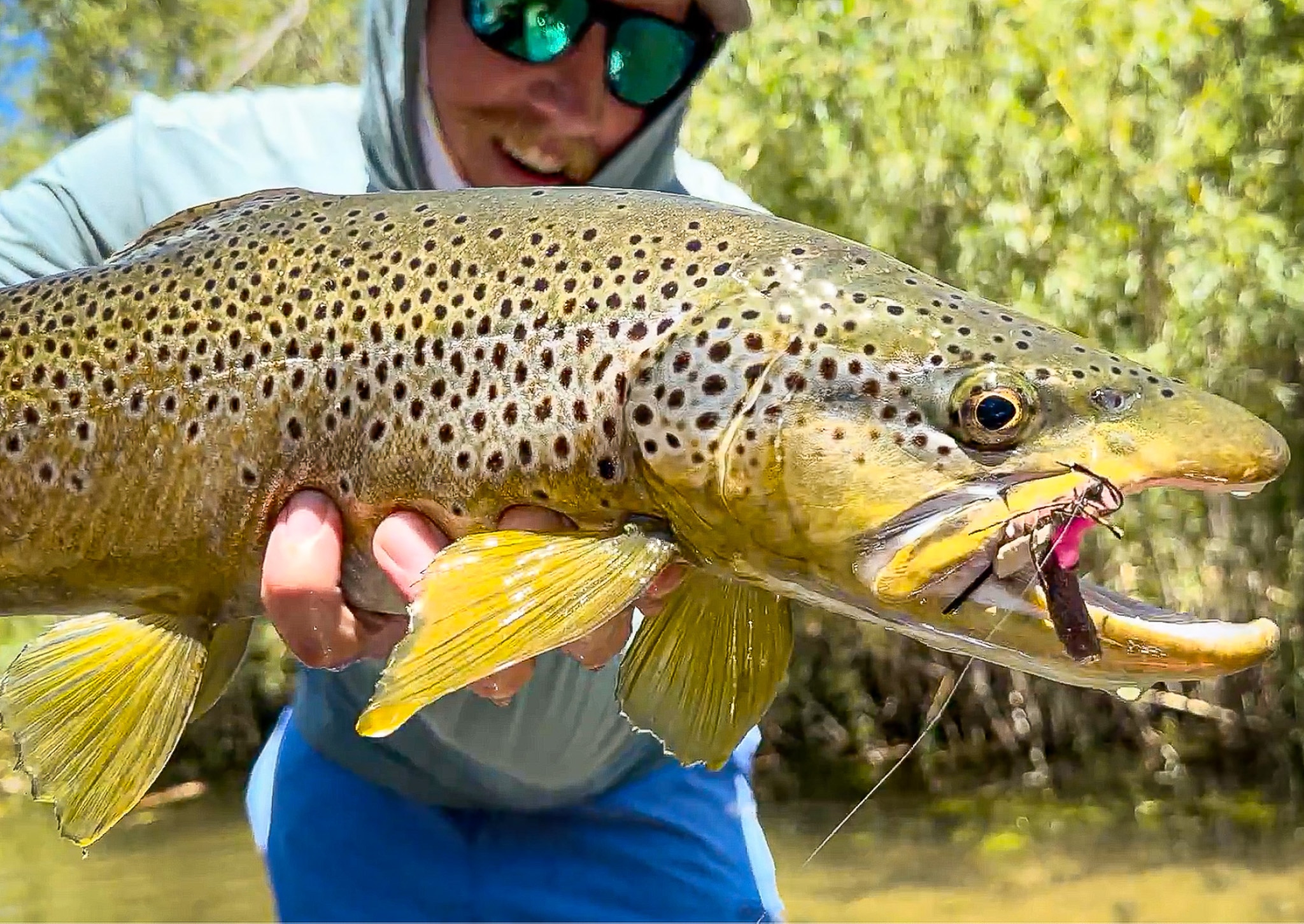 Andrew Jorgenson thumbnail