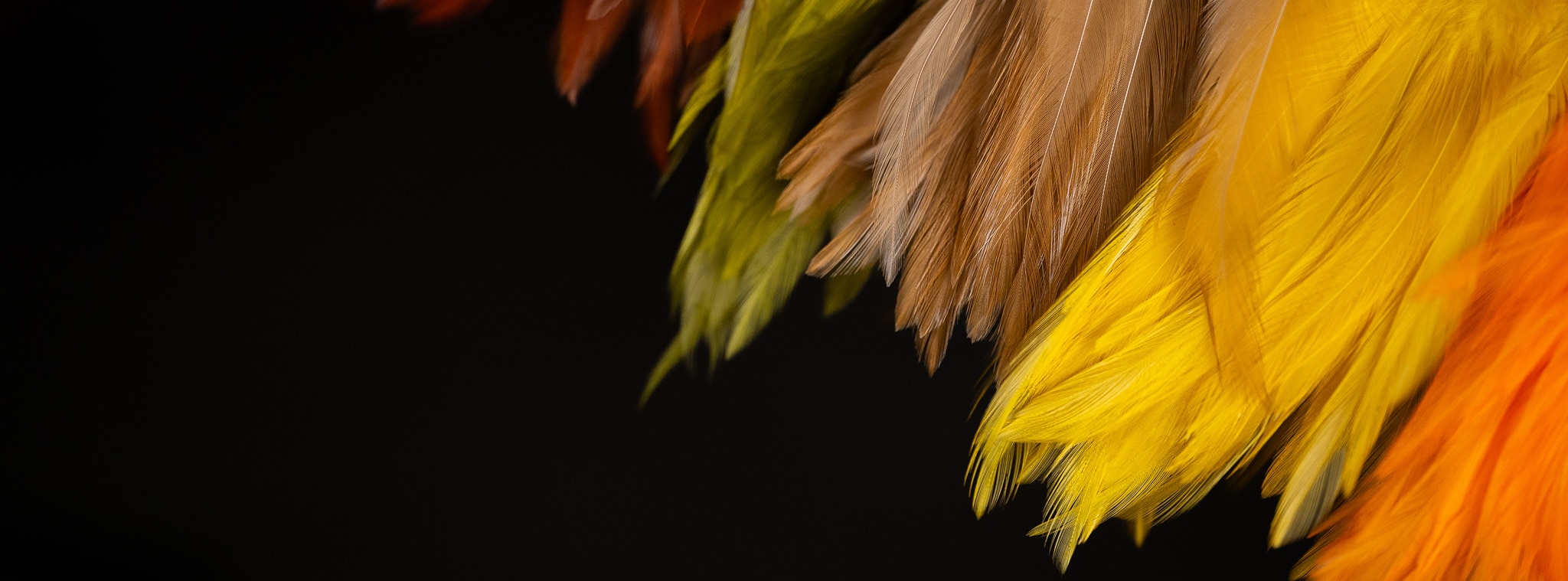 New Saddle Hackle