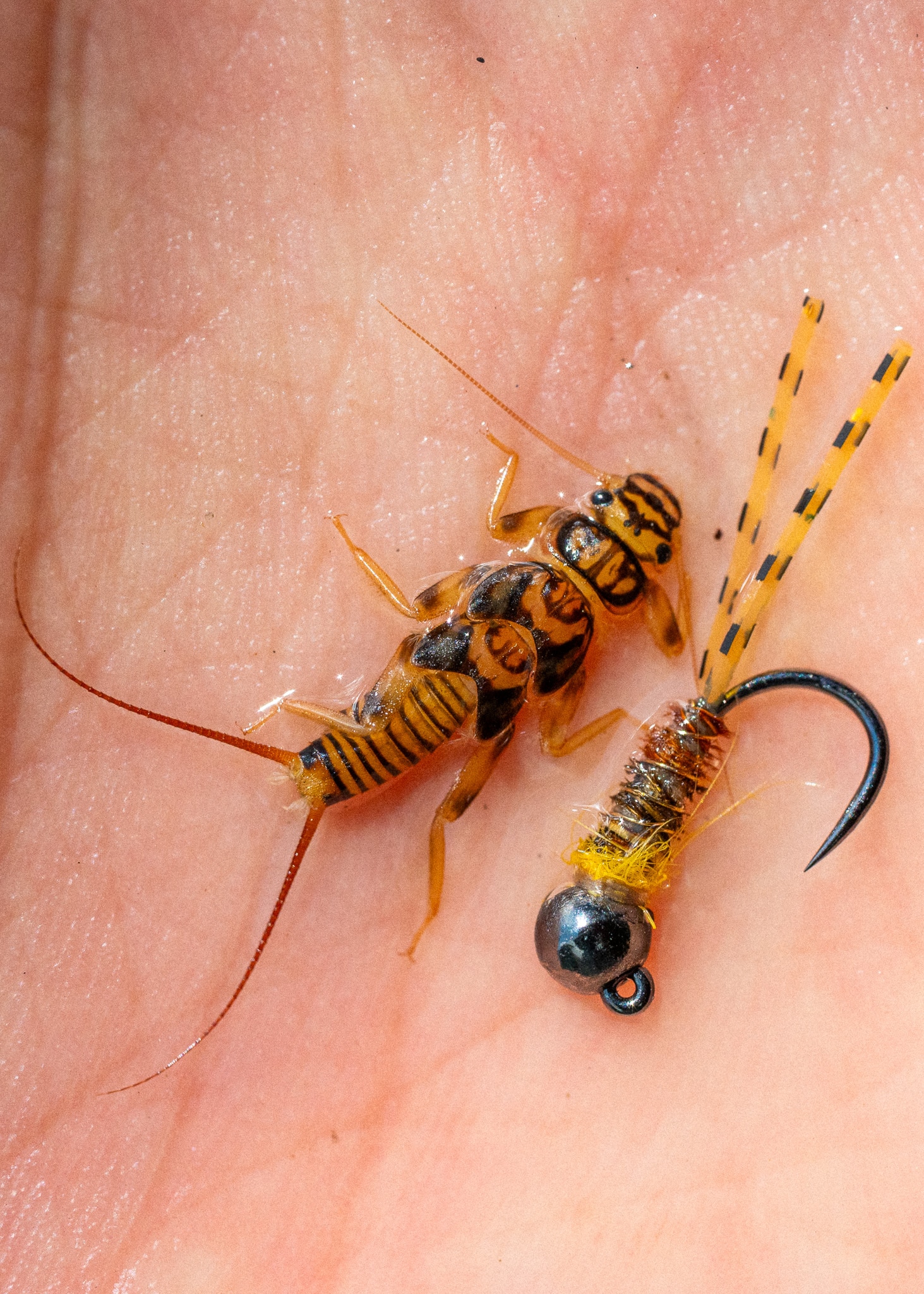 Our Flies Category