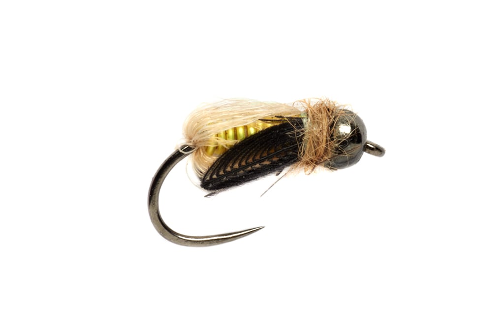 Rosenbauer's Deep Caddis Pupa Barbless