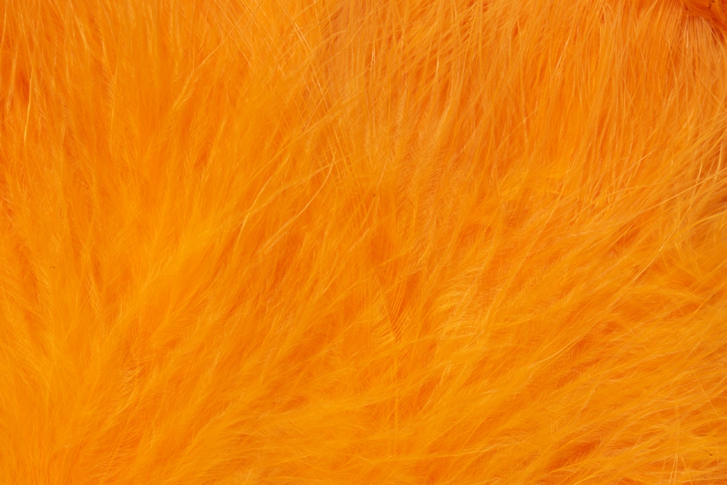 Premium Selected Marabou